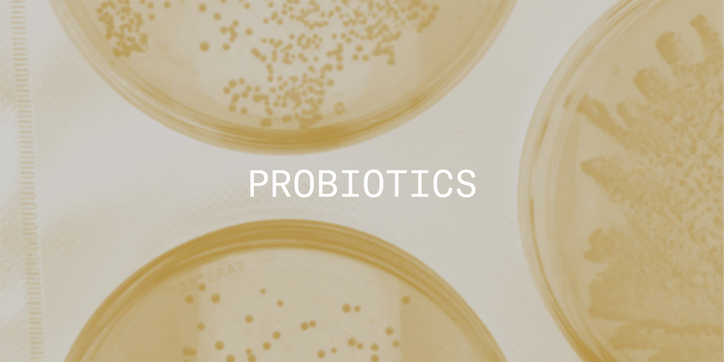 Probiotics: good bacteria with superpowers